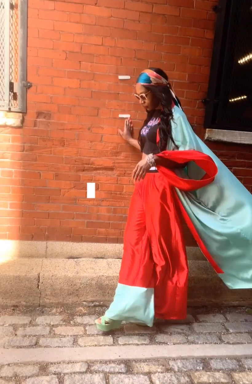 MINT CONDITION DUSTER